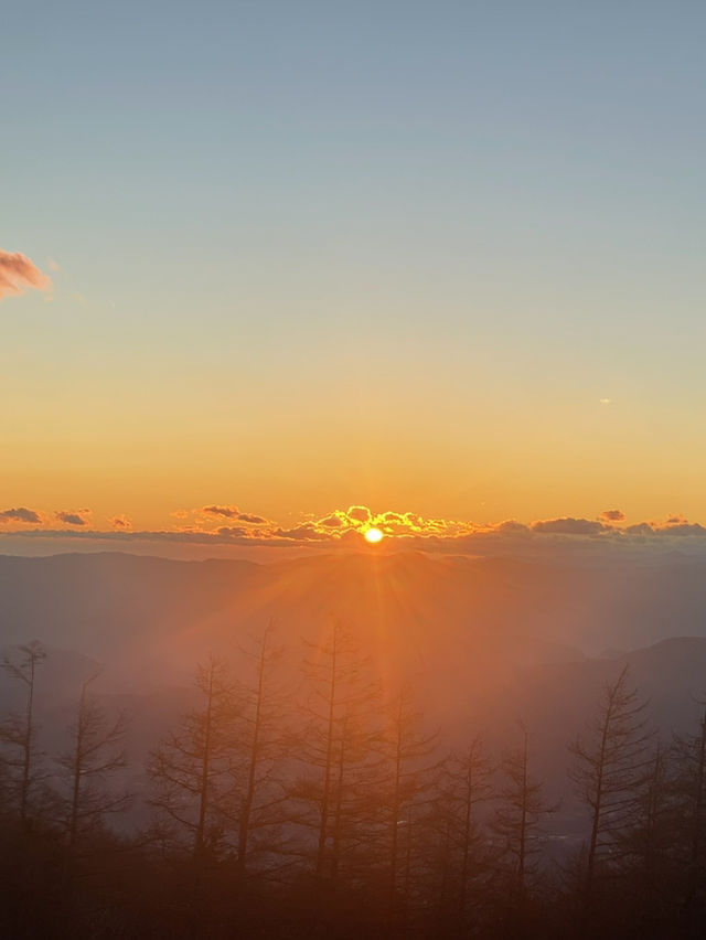 후지산 포토스팟, 죽음의숲 등 리뷰 🗻
