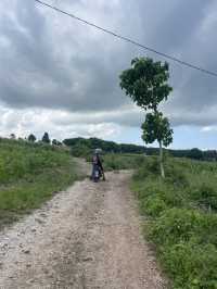The Road to Waikuri Beach: A Drive Through Sumba’s Countryside