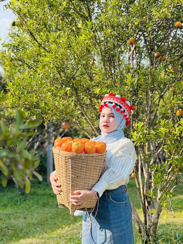 The orange cafe 🪴🍊 - แล้วแต่ปุ๊ คาเฟ่ จ.สตูล