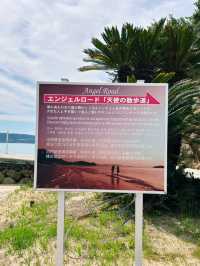 潮が引くたび、奇跡の道が現れる⛅✨