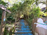 Maokong Gondola & Tea Plantations