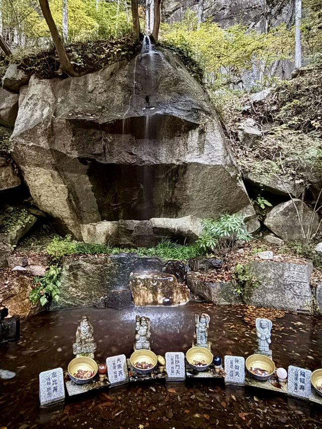 【山梨県】日本一の大きな開運水晶玉