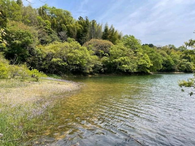 人工ため池だけど海外みたいに美しい