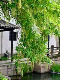Miaoqiao Square: A Hub of Cultural Performances