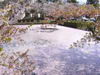 【青森県】日本一の桜の名所！弘前さくらまつり