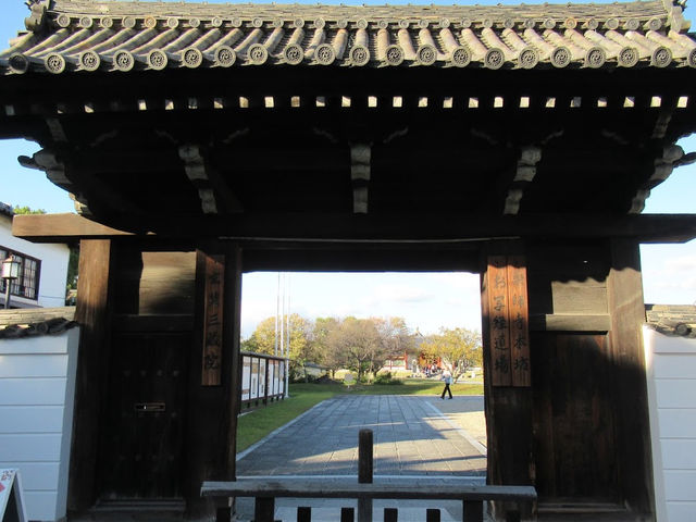 修学旅行で行った❓ 【玄奘三蔵院伽藍】