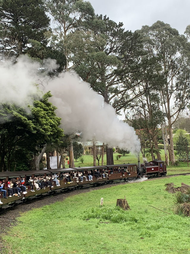 澳洲墨爾本_ 超值得一去「普芬比利蒸汽小火車」🚂