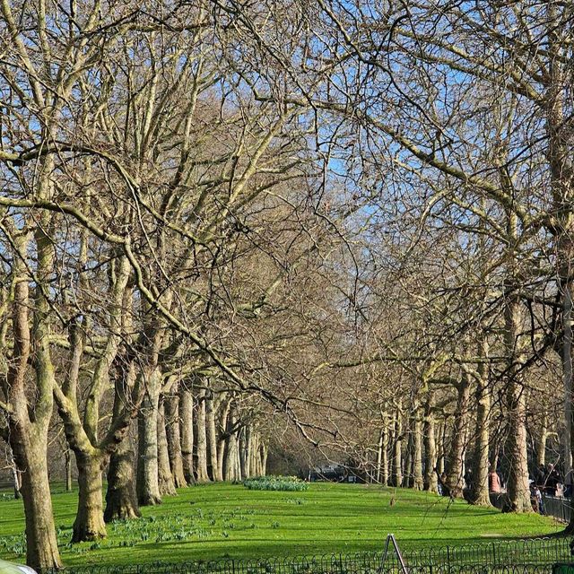 St James’s Park (London)