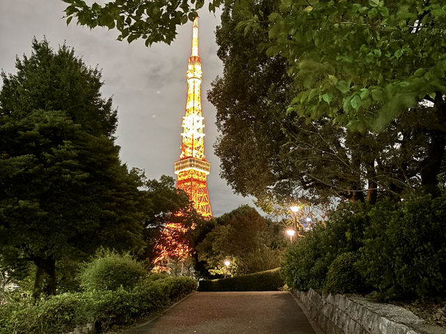 見係你哋，我先分享的東京一日行程！