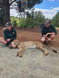 Jamala Wildlife Lodge