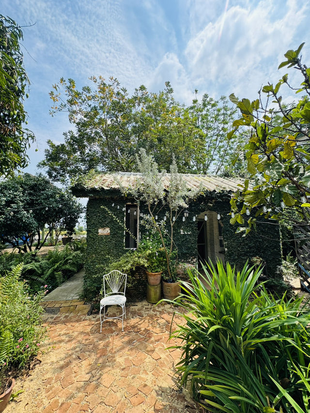 นิยายบ้านสวนคาเฟ่ คาเฟ่สไตล์โฮมมี่ ไทรน้อย ต้องมา