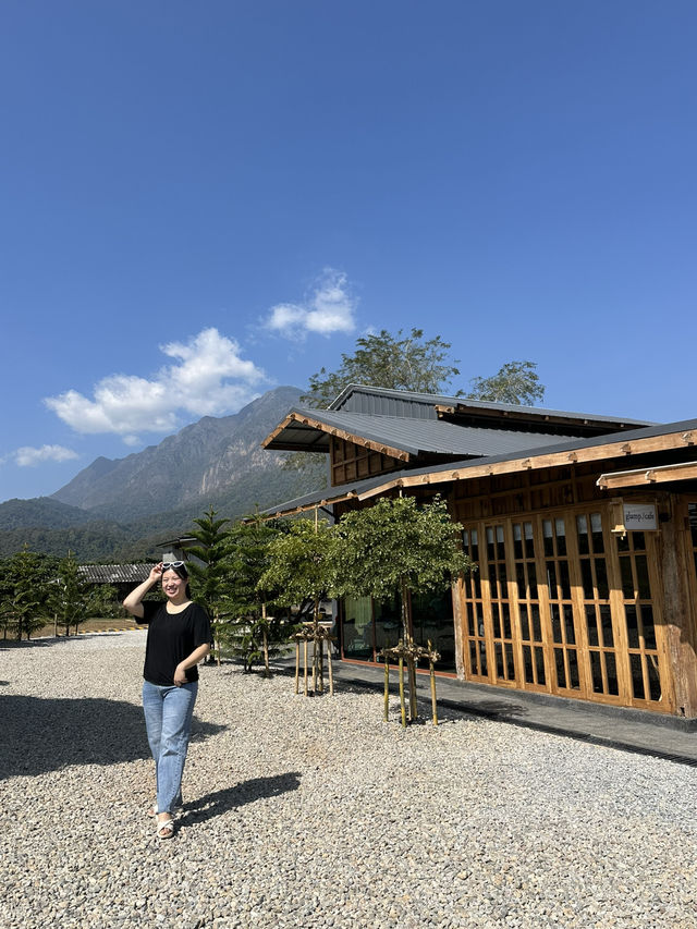 Minimal cafe with good mountain view