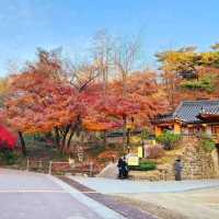 Naejangsan National Park