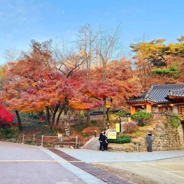 Naejangsan National Park