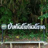ป่าต้นน้ำบ้านน้ำราด 
