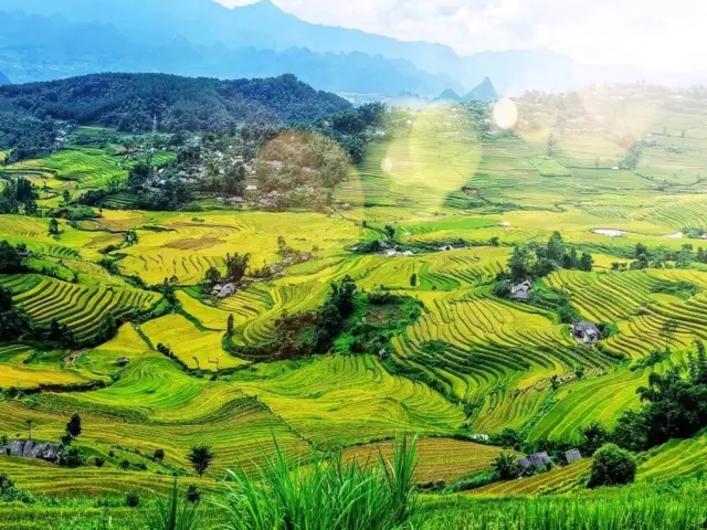 "Yuanyang Rice Terraces: A Masterpiece of Nature and Culture"
