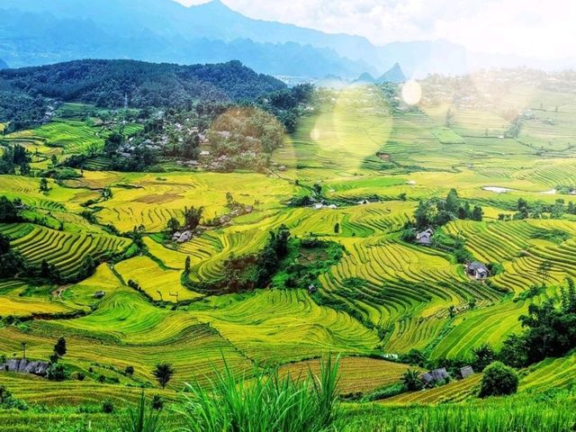 "Yuanyang Rice Terraces: A Masterpiece of Nature and Culture"