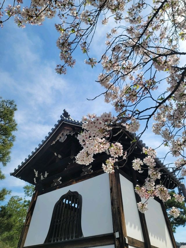 如果你愛海鮮，請都給我去木津市場！！！！