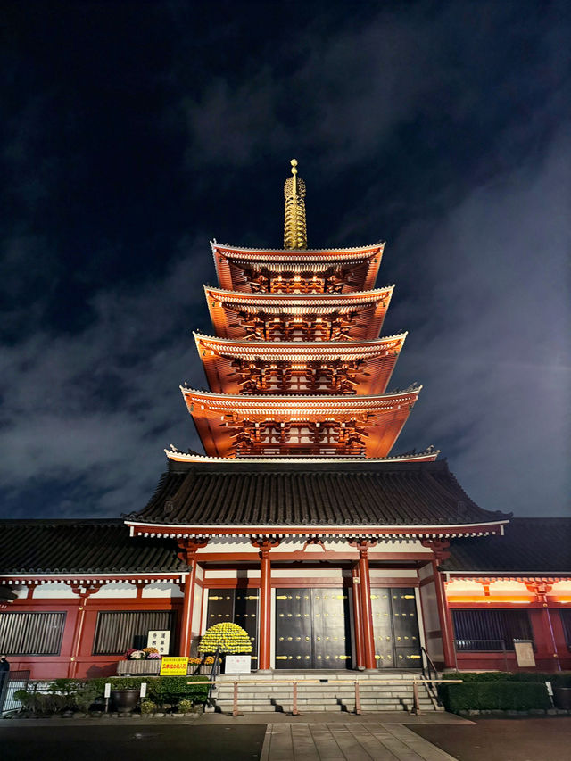 日與夜淺草寺與上野動物園的一日夢幻之旅 🌅🐼