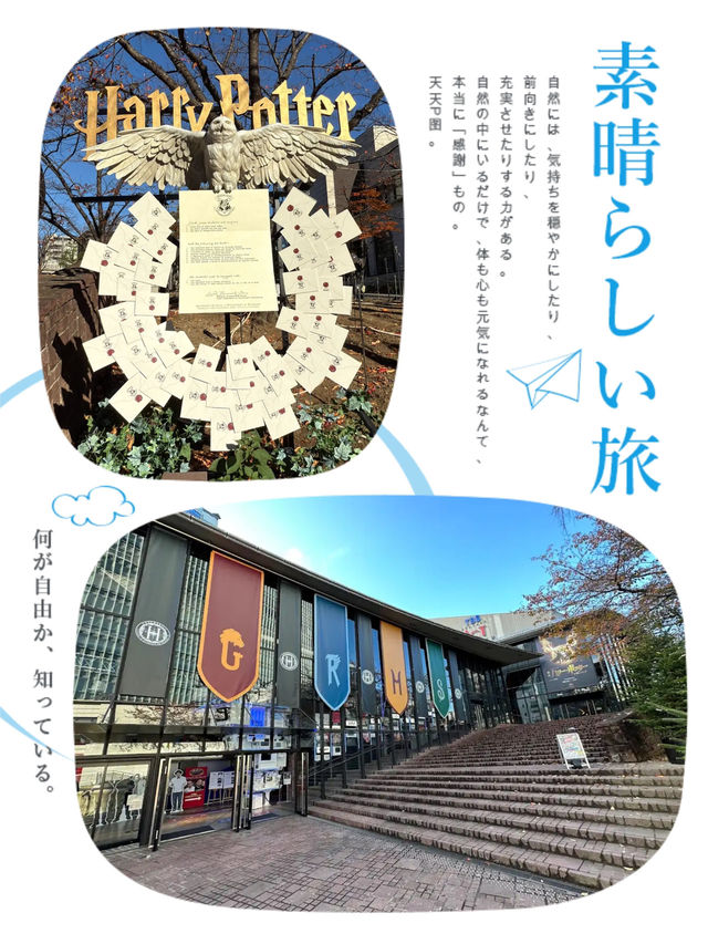 赤坂發現哈利波特蹤跡🤩🕵️