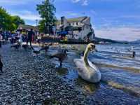 湖區國家公園（Lake District National Park）~遊湖篇