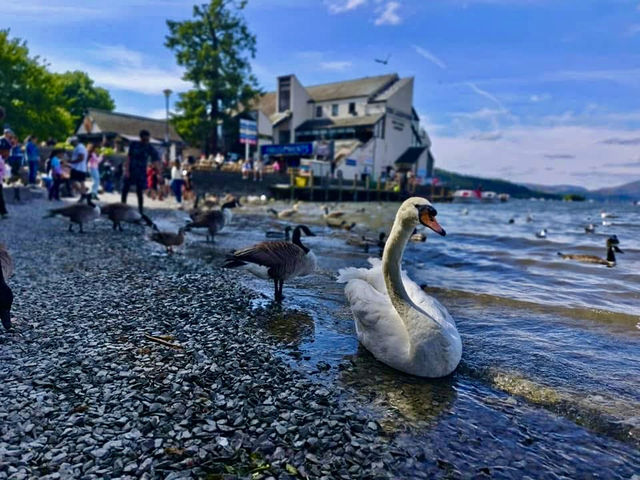 湖區國家公園（Lake District National Park）~遊湖篇