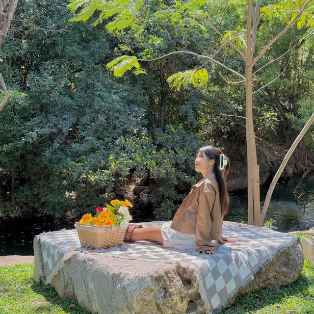 คาเฟ่เปิดใหม่ #เขาใหญ่ มู้ดดีมากกก🌿˖°🧚🏻｡𖦹⋆   