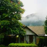 Spring Escape at The Cliff & River Jungle Resort
