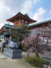 【山口グルメ】防府・THE DAILY