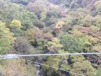 สะพานแขวน Kurenai ชมวิวธรรมชาติสุดชิล