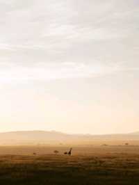 Hot Air Balloon Safari in Masai Mara - Kenya with Endless Views!