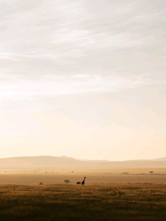 Hot Air Balloon Safari in Masai Mara - Kenya with Endless Views!