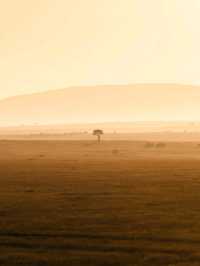 Hot Air Balloon Safari in Masai Mara - Kenya with Endless Views!