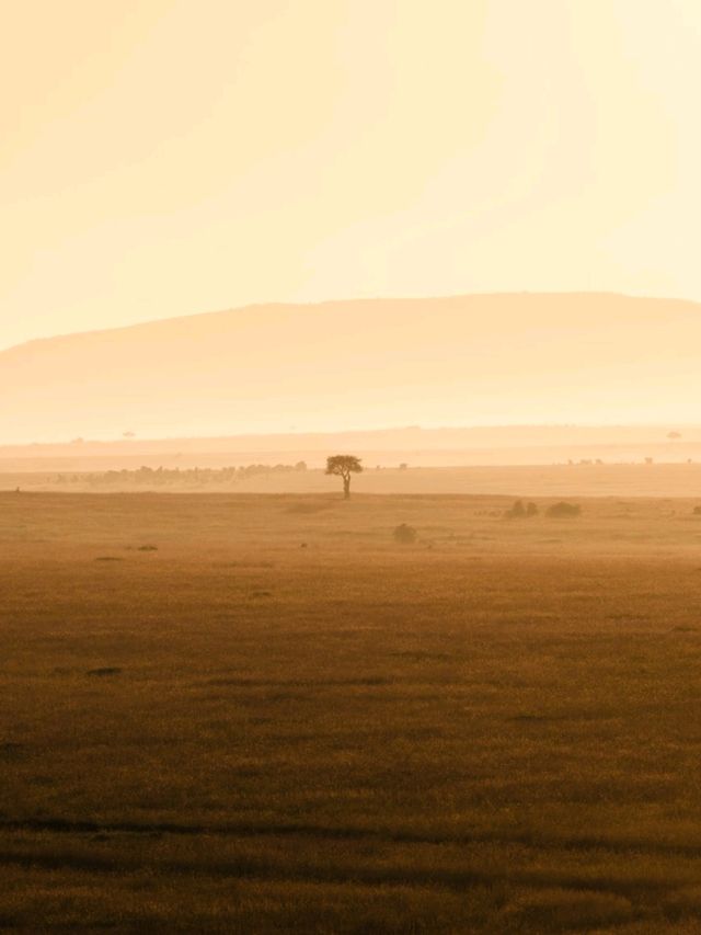 Hot Air Balloon Safari in Masai Mara - Kenya with Endless Views!