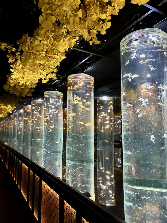流光水境：藝術水族館的夢幻之旅