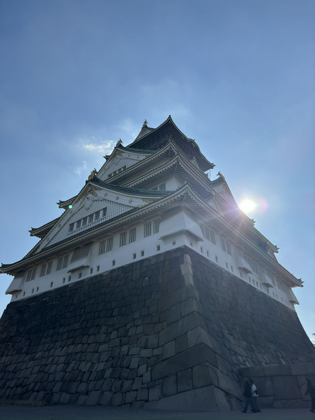 大阪城公園紅葉散策：金黃與朱紅的歷史畫卷🍁🏯 