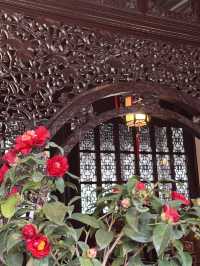 A Floral Spectacle at Lingering Garden: A Jewel of Suzhou's Four Great Gardens