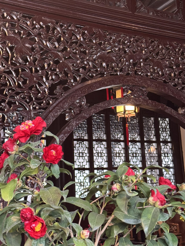 A Floral Spectacle at Lingering Garden: A Jewel of Suzhou's Four Great Gardens