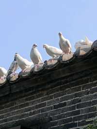 Exploring Timeless Craftsmanship at Nanfeng Kiln: A Journey Through History and Art