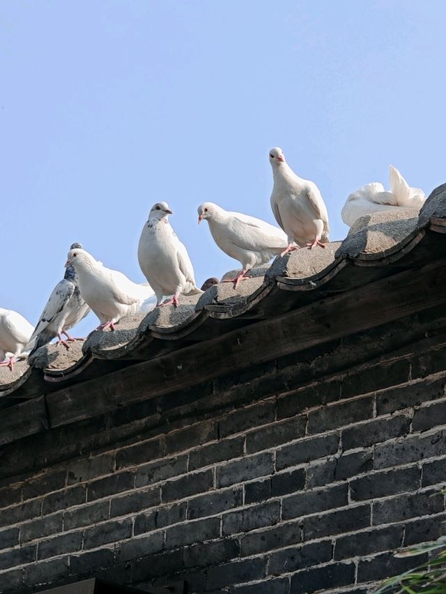 Exploring Timeless Craftsmanship at Nanfeng Kiln: A Journey Through History and Art