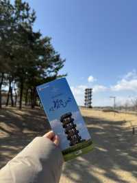 시흥 갯골생태공원, 도심 속 자연 힐링 스팟 🌾🌊