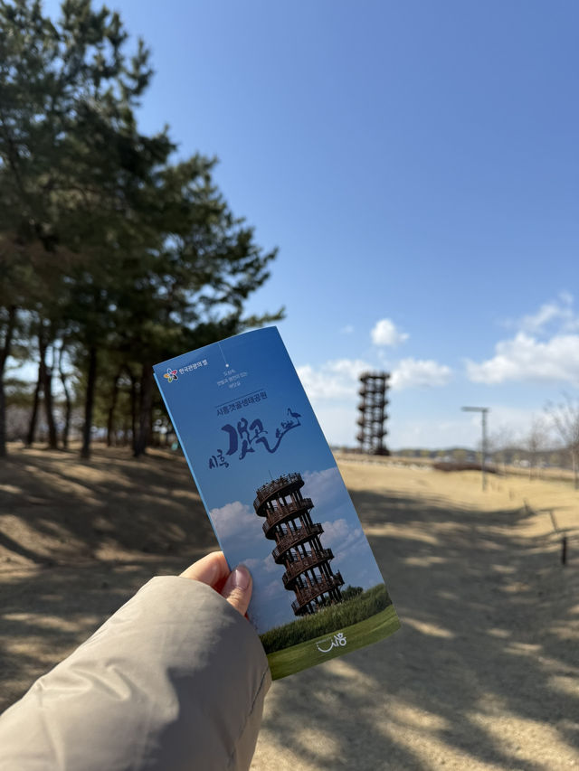 시흥 갯골생태공원, 도심 속 자연 힐링 스팟 🌾🌊