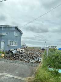 絶景の花咲線に乗って北方領土を望む日本最東端納沙布岬へ