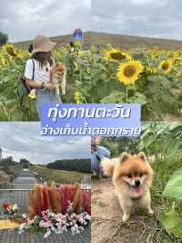 แชร์พิกัดเที่ยวกับน้องหมา🐶/pet friendly