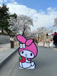 대릉원 벚꽃길축제가 곧 열립니다!🌸