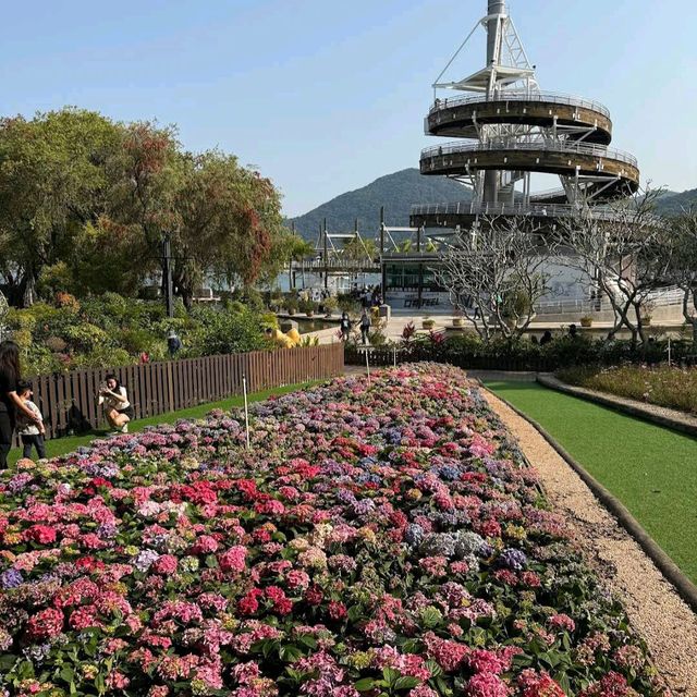大埔海濱公園 (Tai Po Waterfront Park)