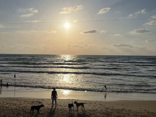 特拉維夫市中心海灘推薦🏖️