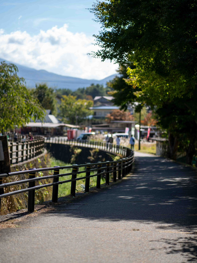 西湖いやしの里根場 🏯🍃 昔ながらの茅葺き屋根の風景に癒される