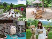 One day trip : ราชบุรี เมืองน่ารัก ใกล้กรุงเทพ🌳
