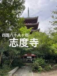 【香川】歴史と文化を感じる寺院・志度寺